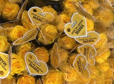 gele rozen voor moederdag