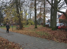 Groene hoek
