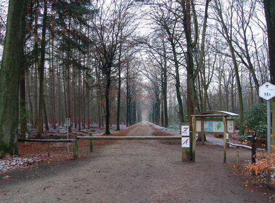 Mikhof Mikhof