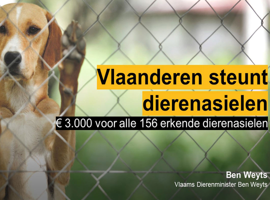 Dierenwelzijn Dierenwelzijn