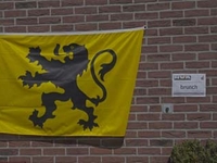 de fiere Vlaamse Leeuw