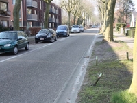 Sommige bermen liggen er in de parkgemeente erbarmelijk bij, vindt het bestuur.